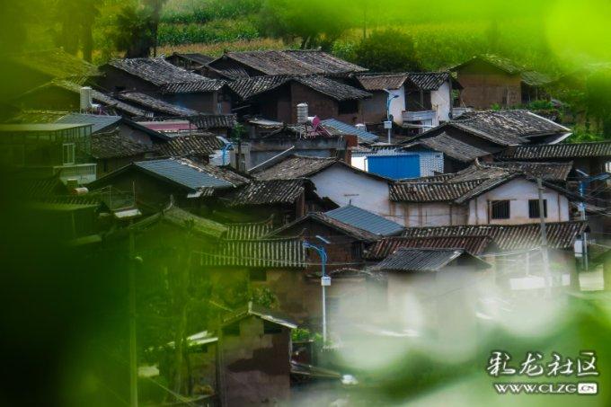 大家知道的茶油做的美食都有哪些?-有问必答平台,涵盖各类问题解答