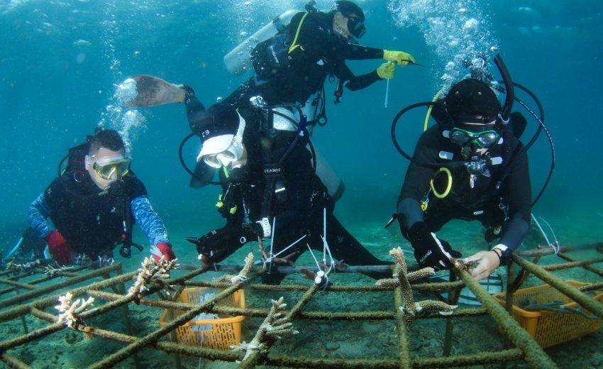 流放骑士