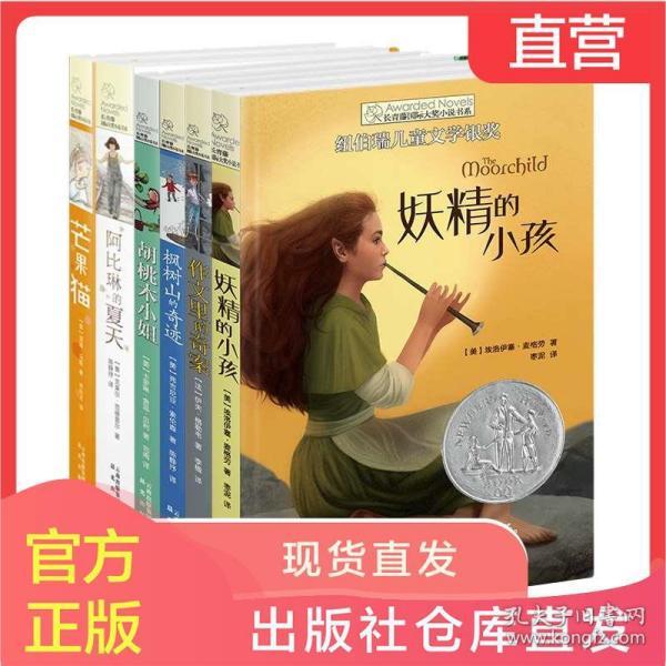 美妙圣诞节拼图