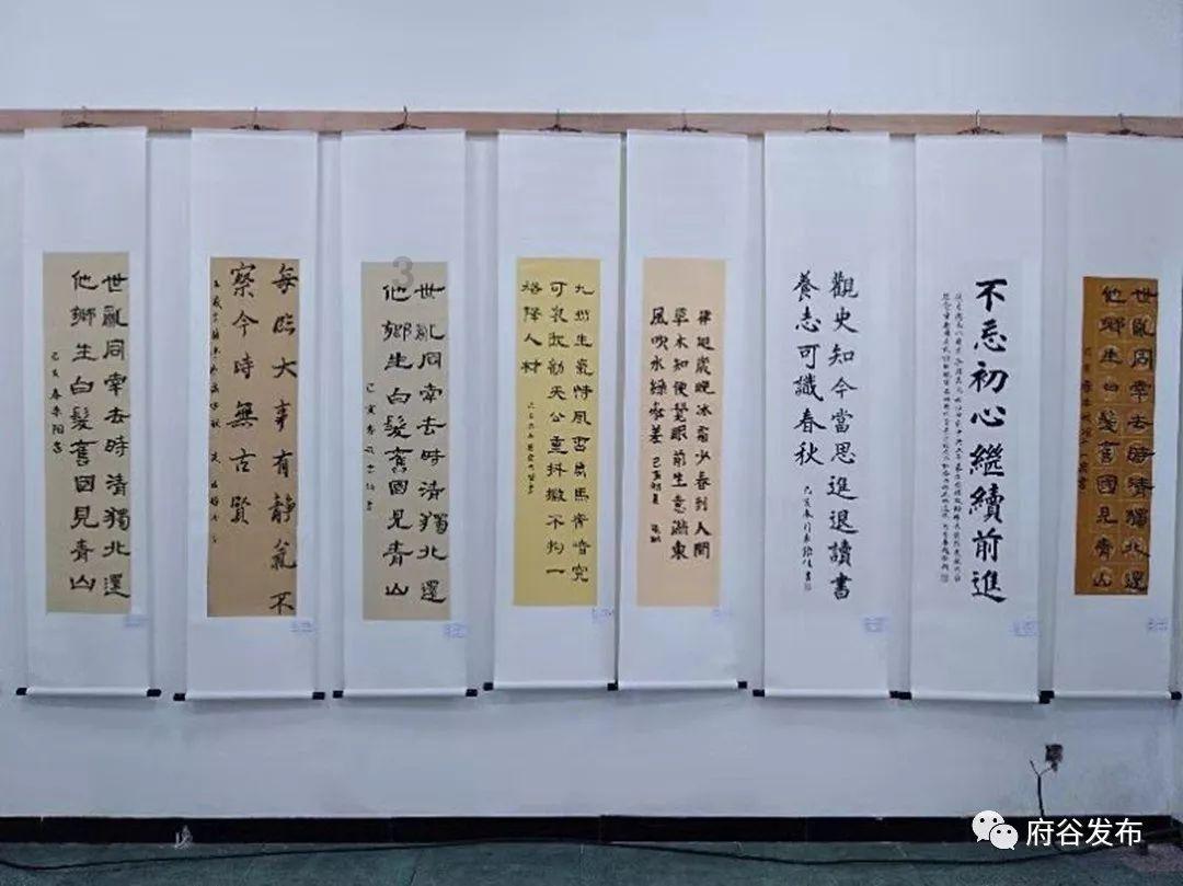 萌犬记忆卡