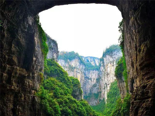 黑道圣徒4